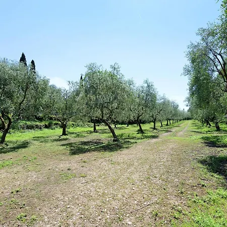 La Casetta Nel Bosco Garda Appartamento Toscolano-Maderno