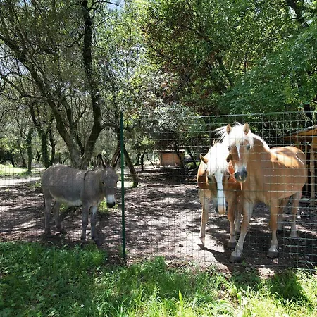 La Casetta Nel Bosco Garda * Toscolano-Maderno